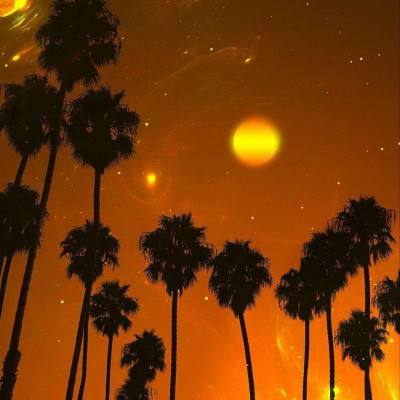 篮球体育彩票app