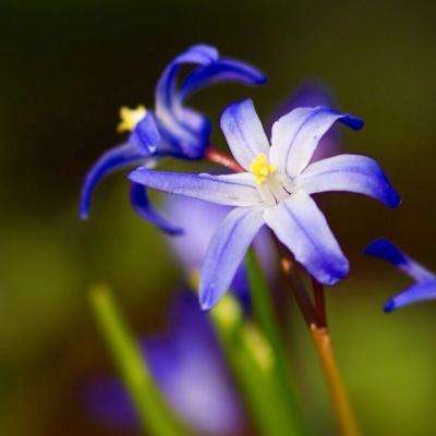 乐发彩票app下载